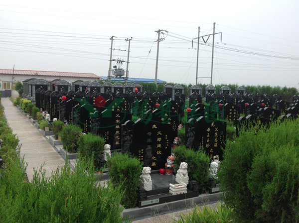 欧博abg(Allbet)官网登录入口