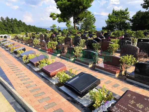 欧博abg(Allbet)官网登录入口