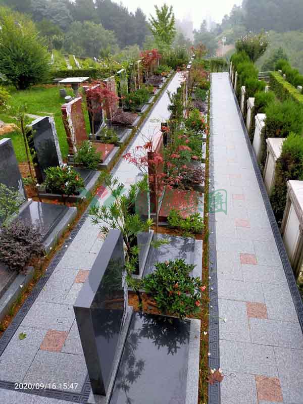 欧博abg(Allbet)官网登录入口