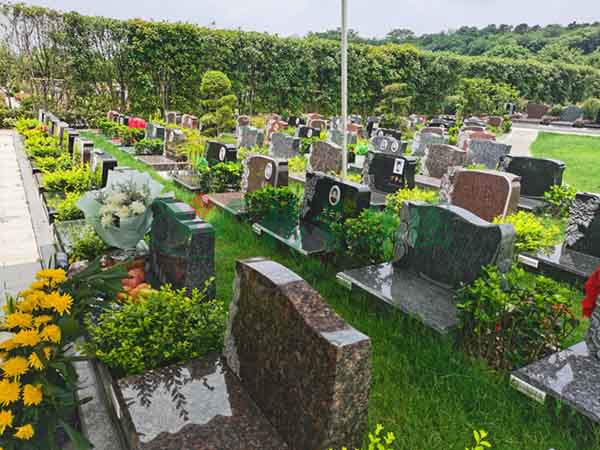 欧博abg(Allbet)官网登录入口