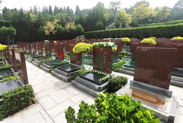 欧博abg(Allbet)官网登录入口