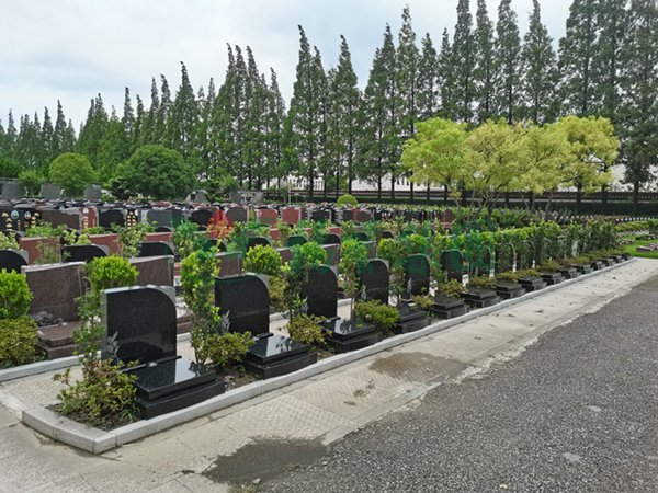 欧博abg(Allbet)官网登录入口