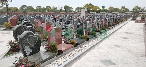 欧博abg(Allbet)官网登录入口