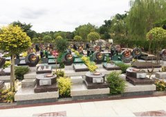 上；懔靶腔鹎