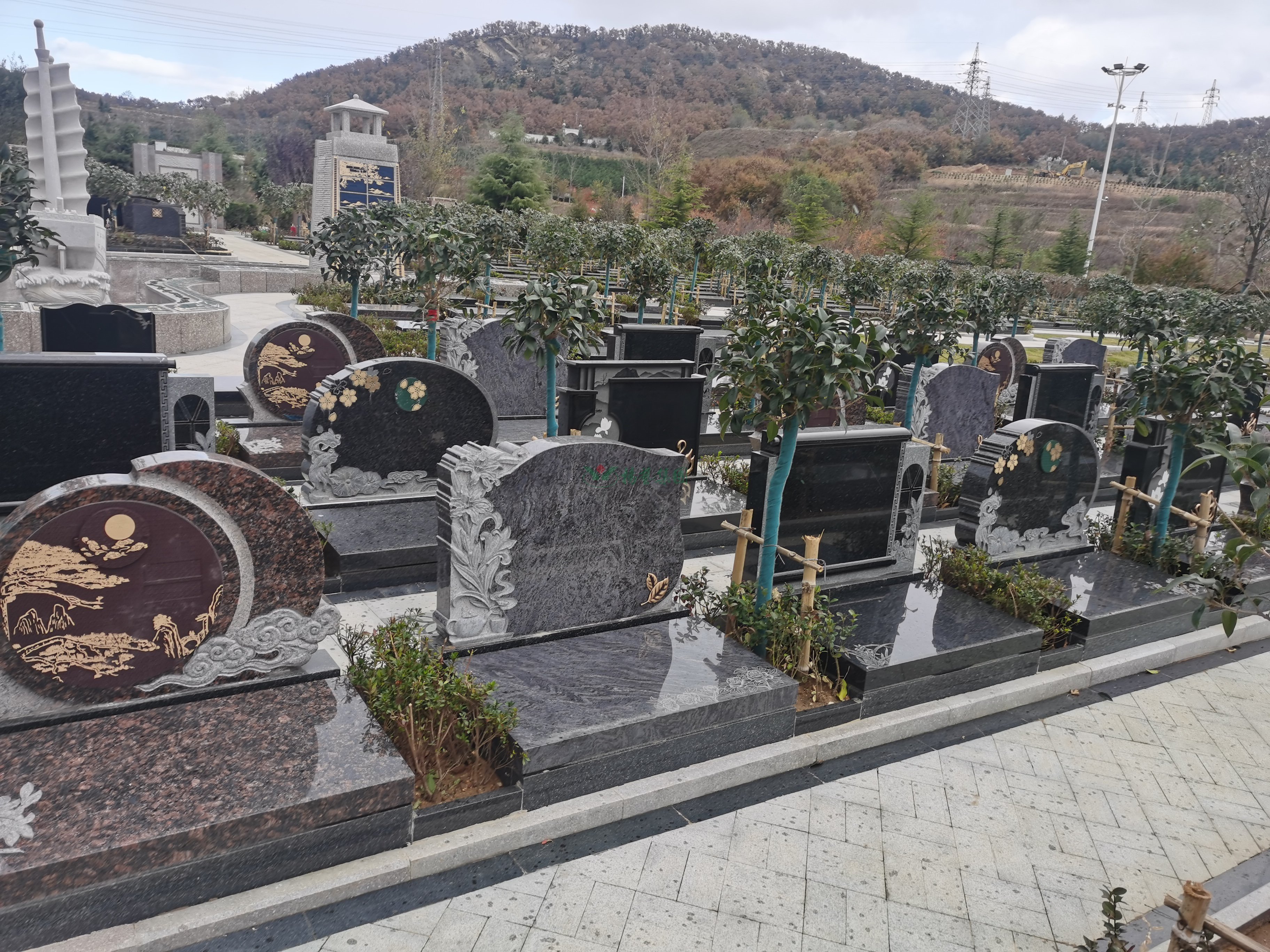 欧博abg(Allbet)官网登录入口