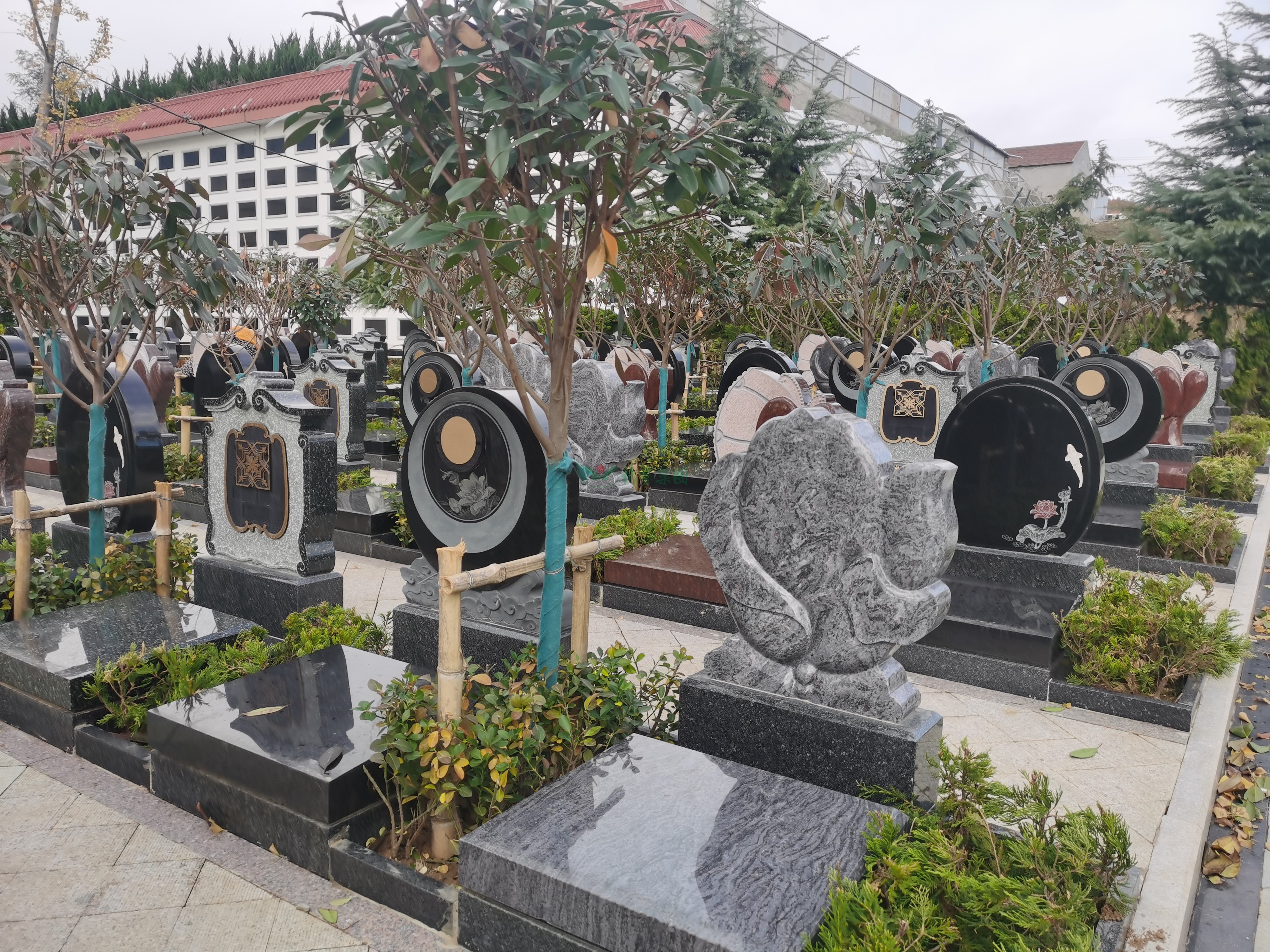 欧博abg(Allbet)官网登录入口