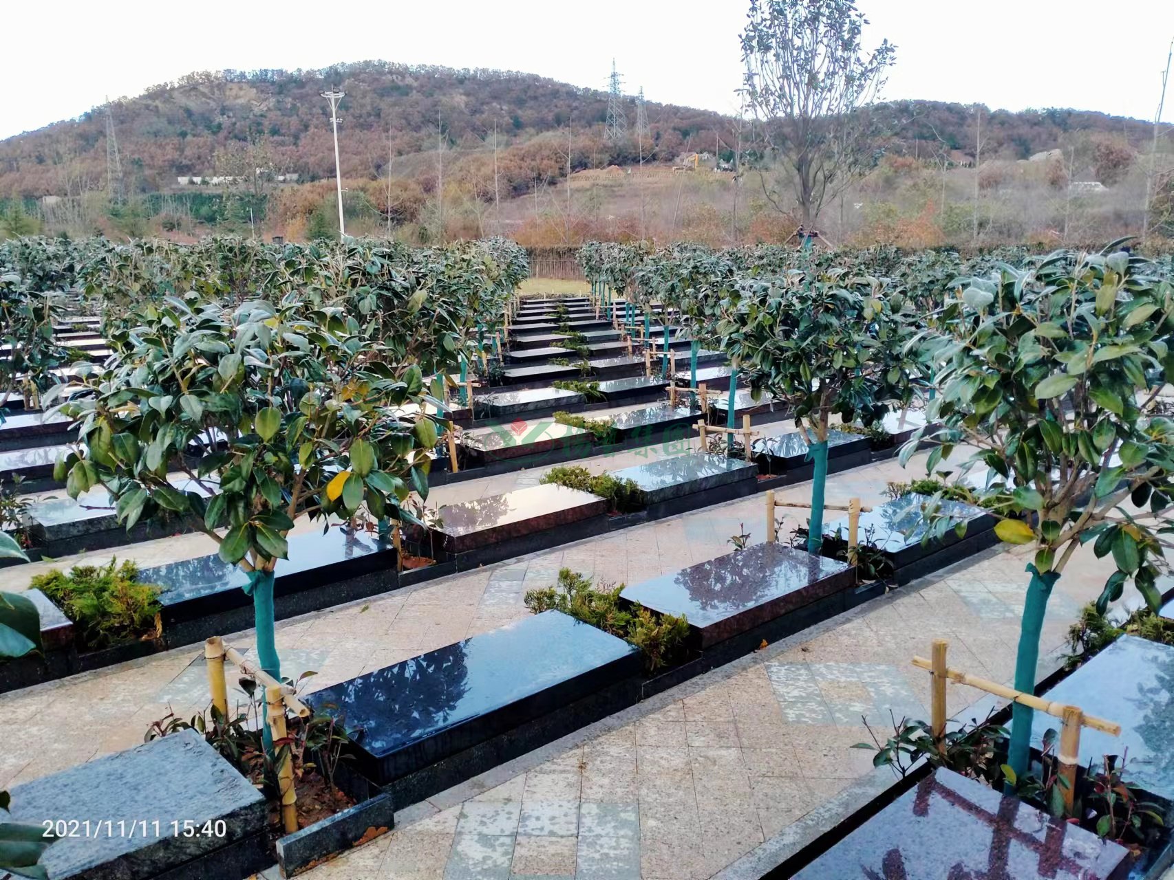 欧博abg(Allbet)官网登录入口