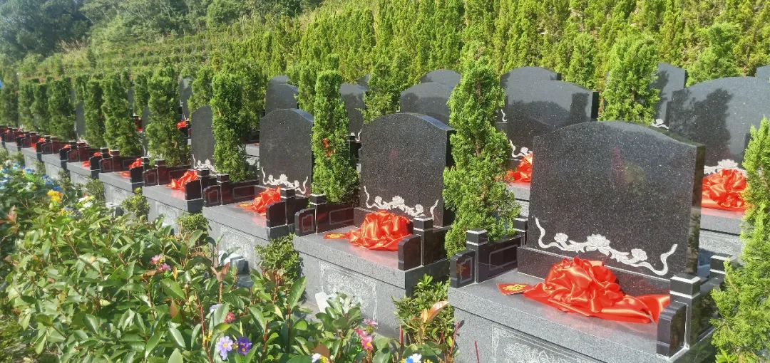 欧博abg(Allbet)官网登录入口