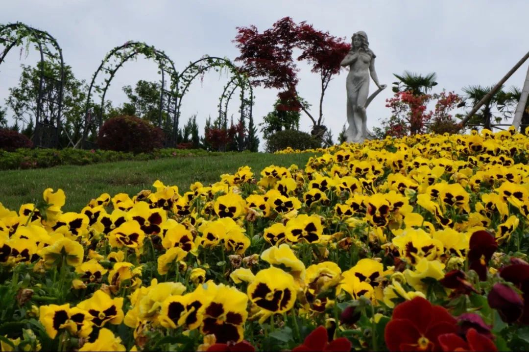 欧博abg(Allbet)官网登录入口