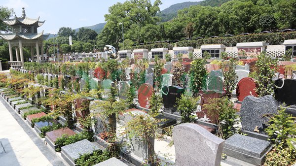 欧博abg(Allbet)官网登录入口