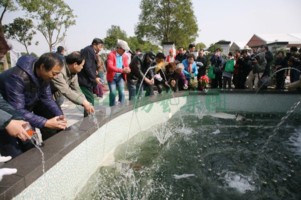 欧博abg(Allbet)官网登录入口