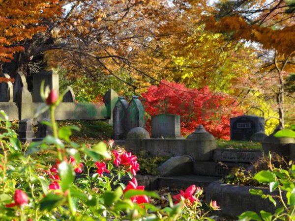 欧博abg(Allbet)官网登录入口