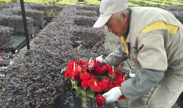 欧博abg(Allbet)官网登录入口