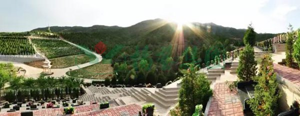 欧博abg(Allbet)官网登录入口