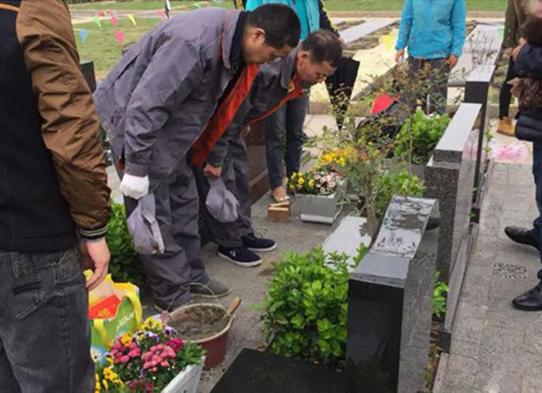 欧博abg(Allbet)官网登录入口