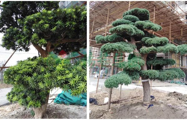 欧博abg(Allbet)官网登录入口