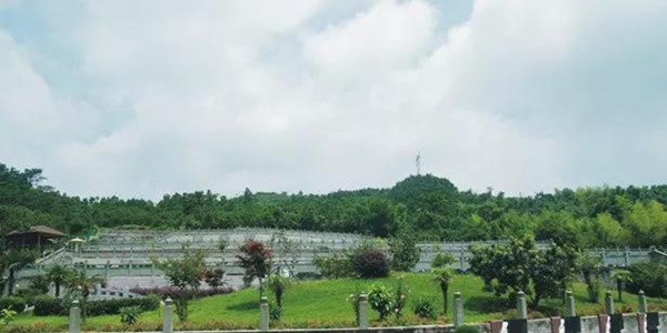 欧博abg(Allbet)官网登录入口