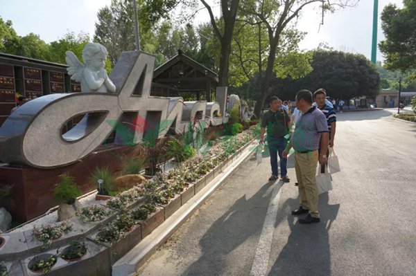 欧博abg(Allbet)官网登录入口