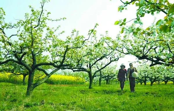 欧博abg(Allbet)官网登录入口