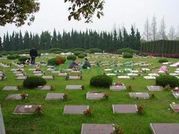 欧博abg(Allbet)官网登录入口