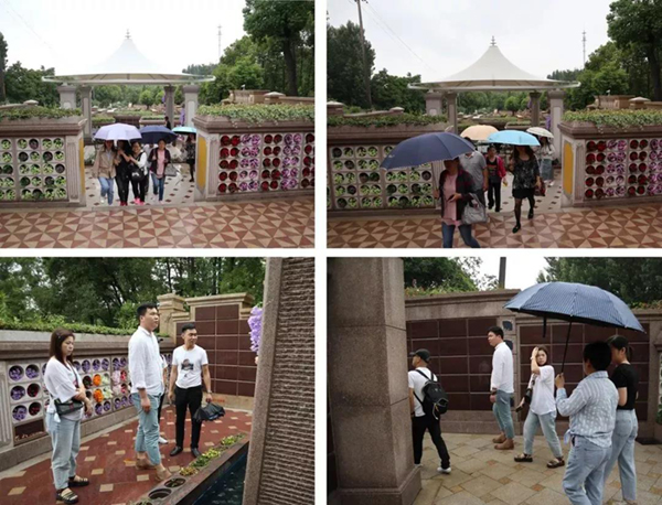 欧博abg(Allbet)官网登录入口