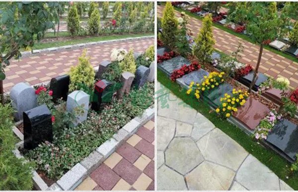 欧博abg(Allbet)官网登录入口