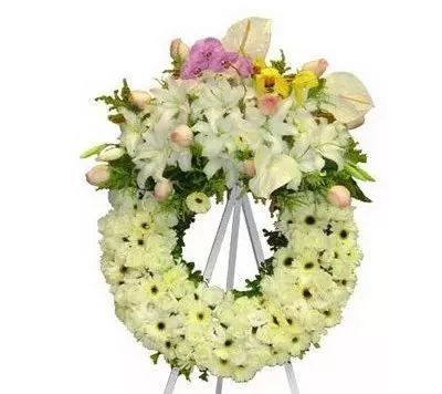 欧博abg(Allbet)官网登录入口