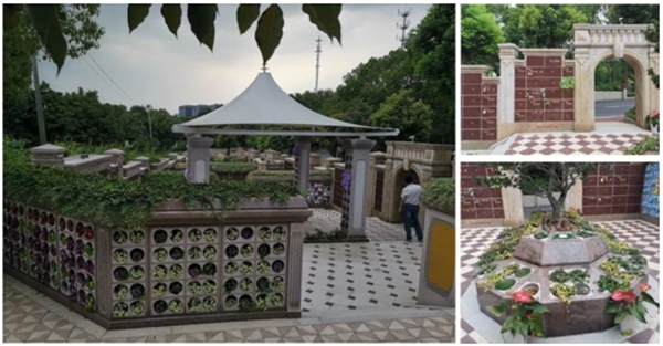 欧博abg(Allbet)官网登录入口