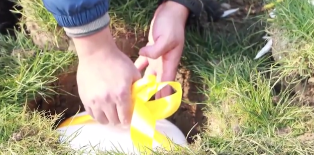 欧博abg(Allbet)官网登录入口