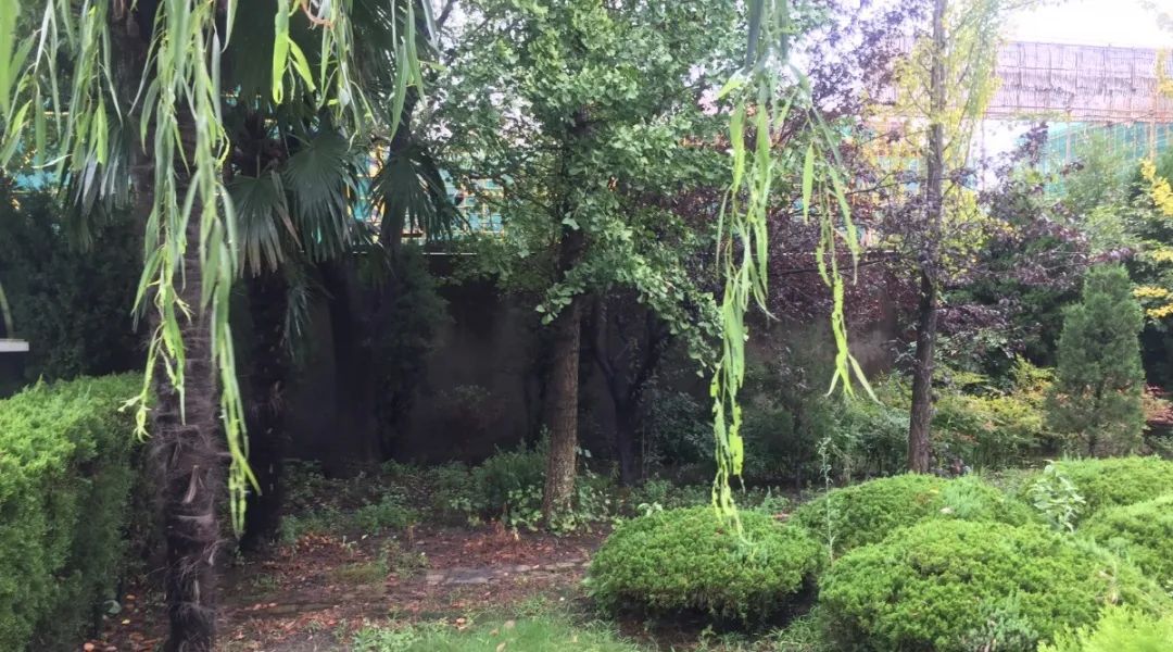 欧博abg(Allbet)官网登录入口