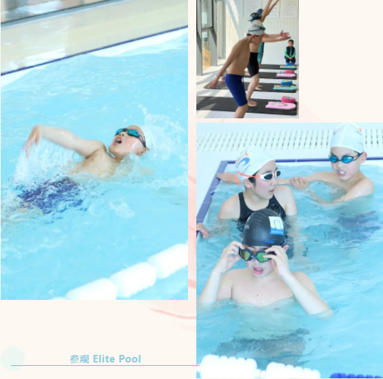 欧博abg(Allbet)官网登录入口