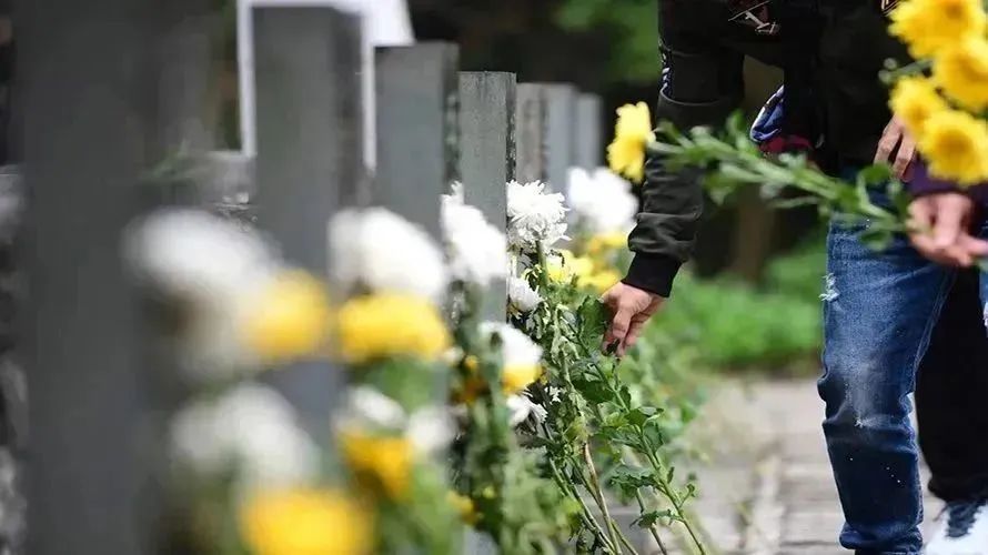 欧博abg(Allbet)官网登录入口