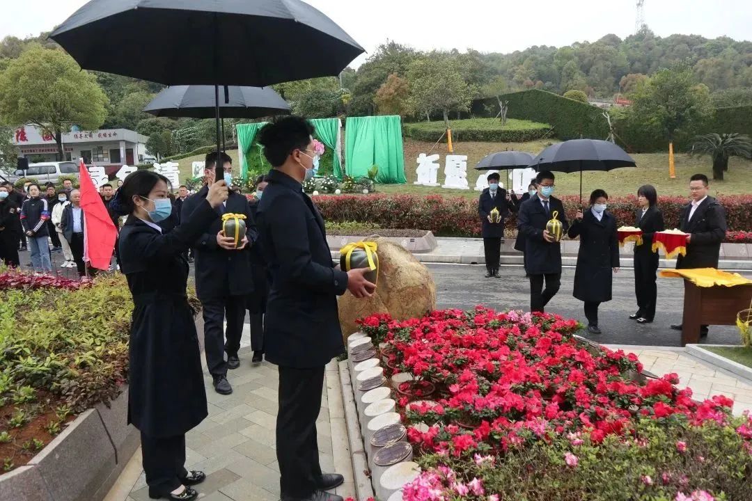 欧博abg(Allbet)官网登录入口