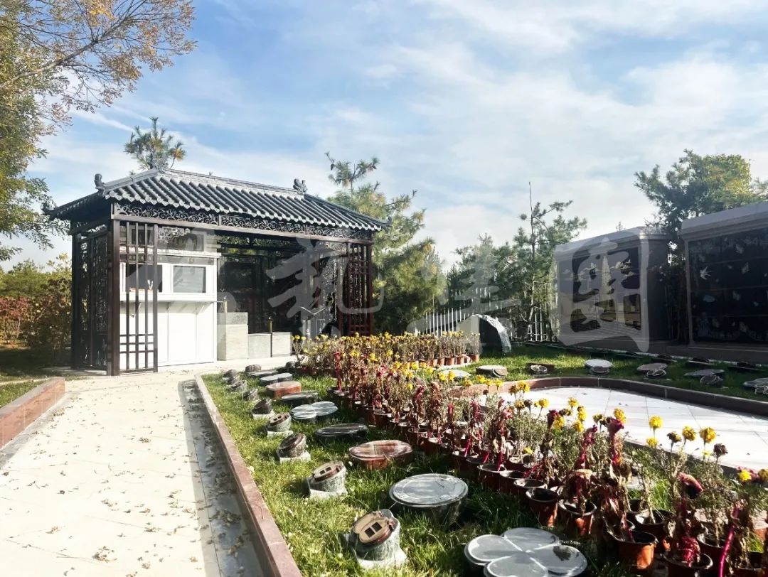 欧博abg(Allbet)官网登录入口