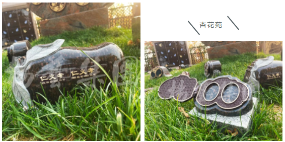 欧博abg(Allbet)官网登录入口