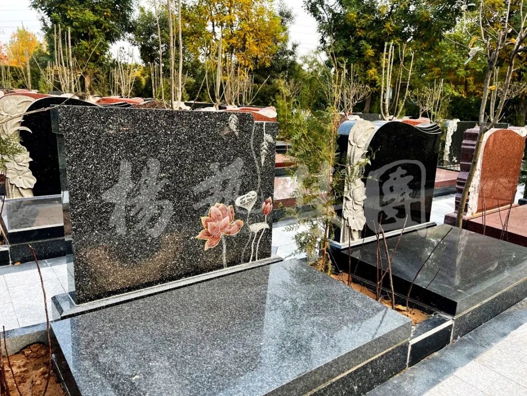 欧博abg(Allbet)官网登录入口