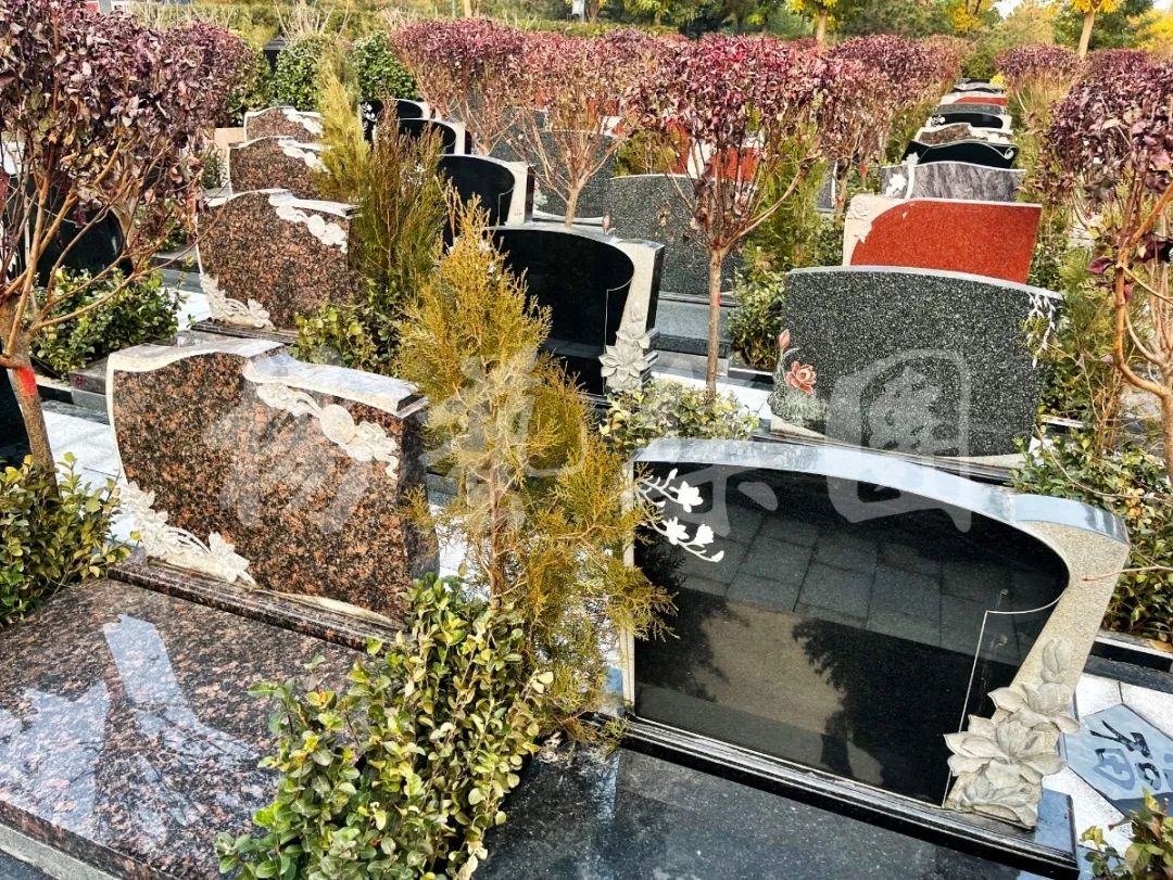 欧博abg(Allbet)官网登录入口