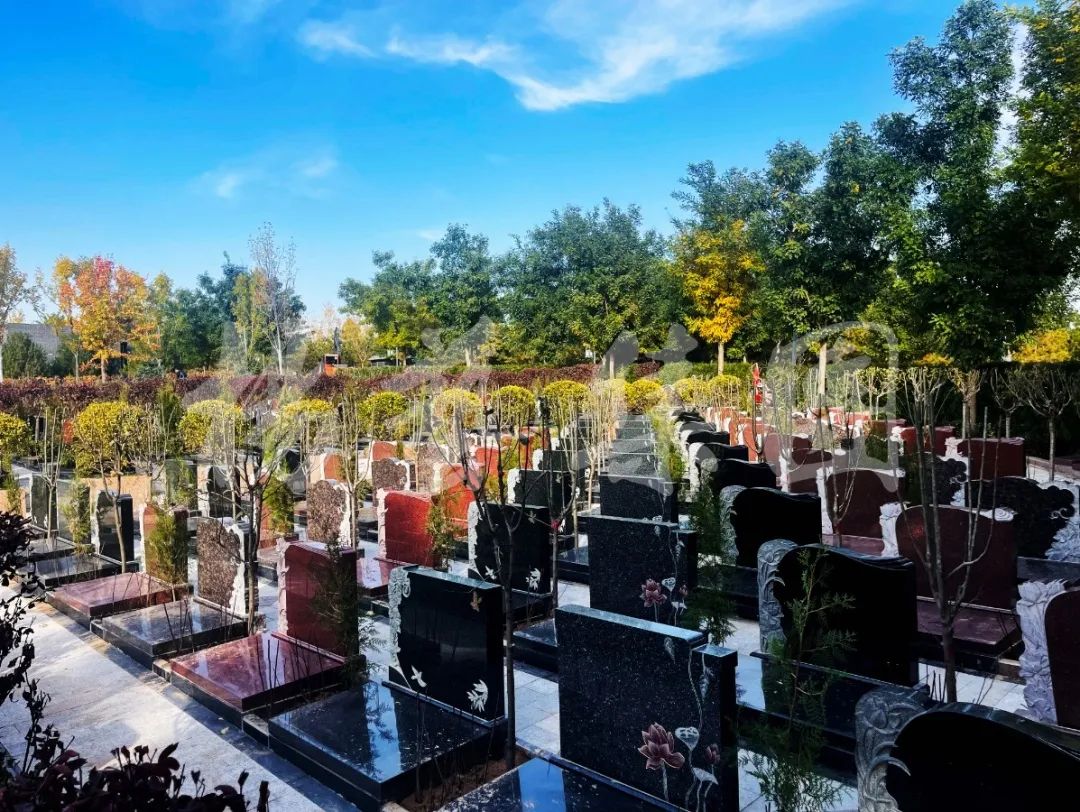 欧博abg(Allbet)官网登录入口