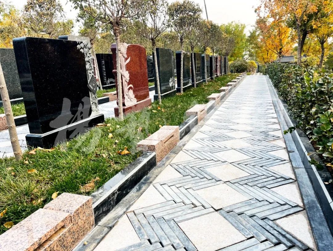 欧博abg(Allbet)官网登录入口