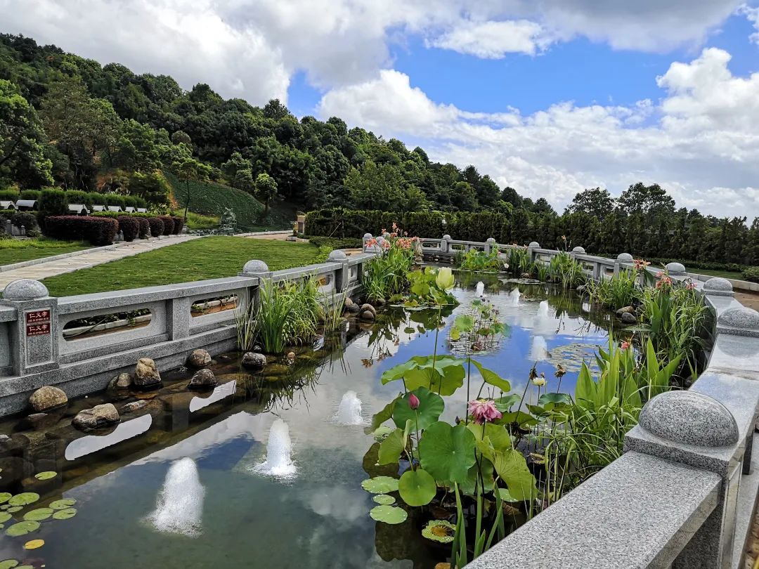 欧博abg(Allbet)官网登录入口