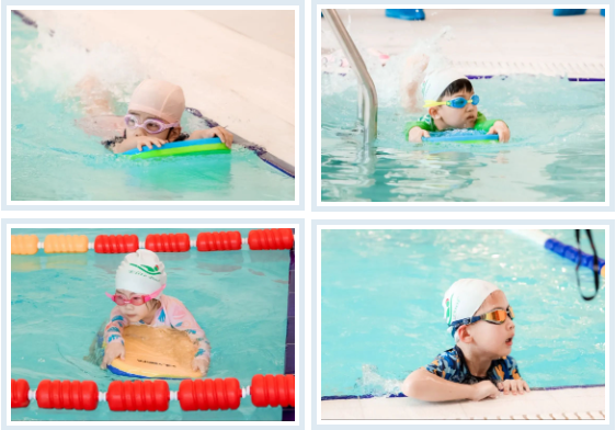 欧博abg(Allbet)官网登录入口