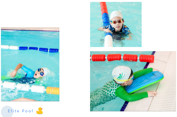 欧博abg(Allbet)官网登录入口