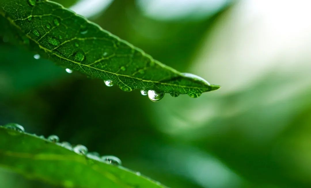 欧博abg(Allbet)官网登录入口