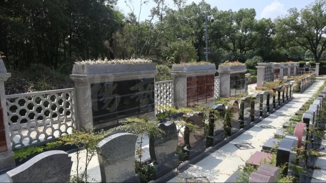 欧博abg(Allbet)官网登录入口