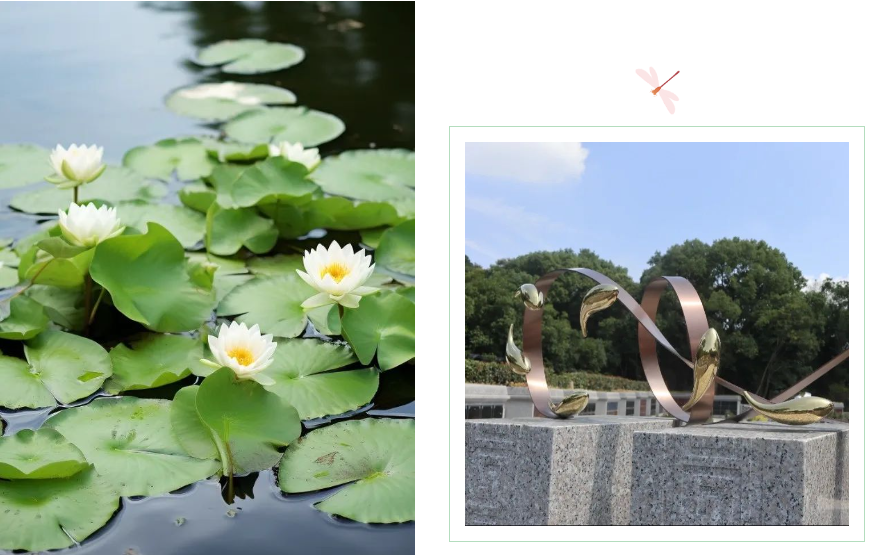 欧博abg(Allbet)官网登录入口