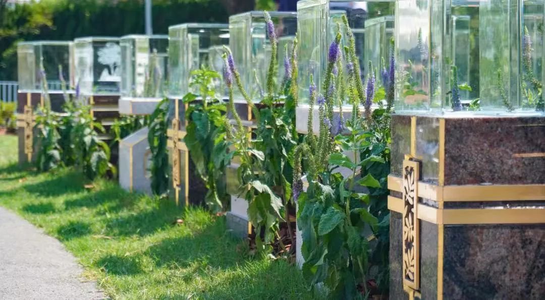 欧博abg(Allbet)官网登录入口