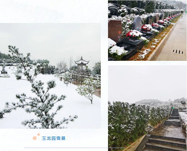 欧博abg(Allbet)官网登录入口