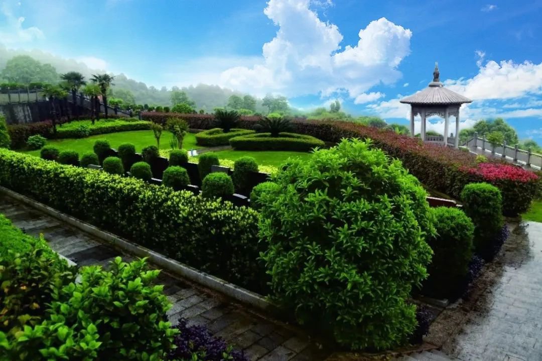 欧博abg(Allbet)官网登录入口