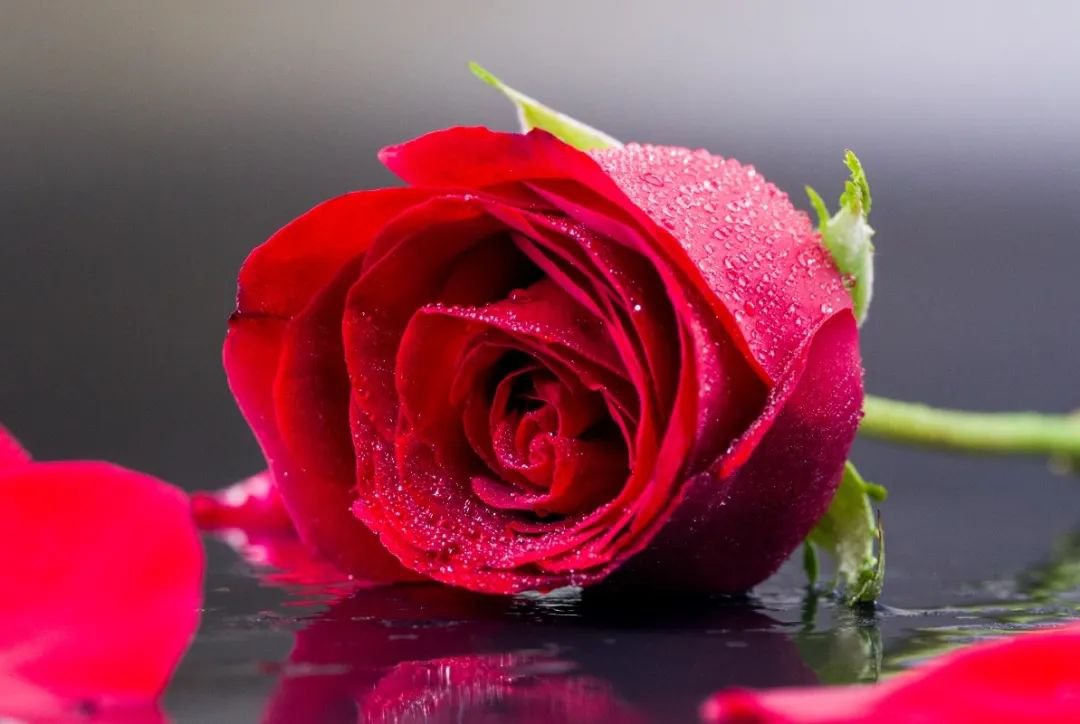 女神节 | 致敬“她”实力，共筑优美未来