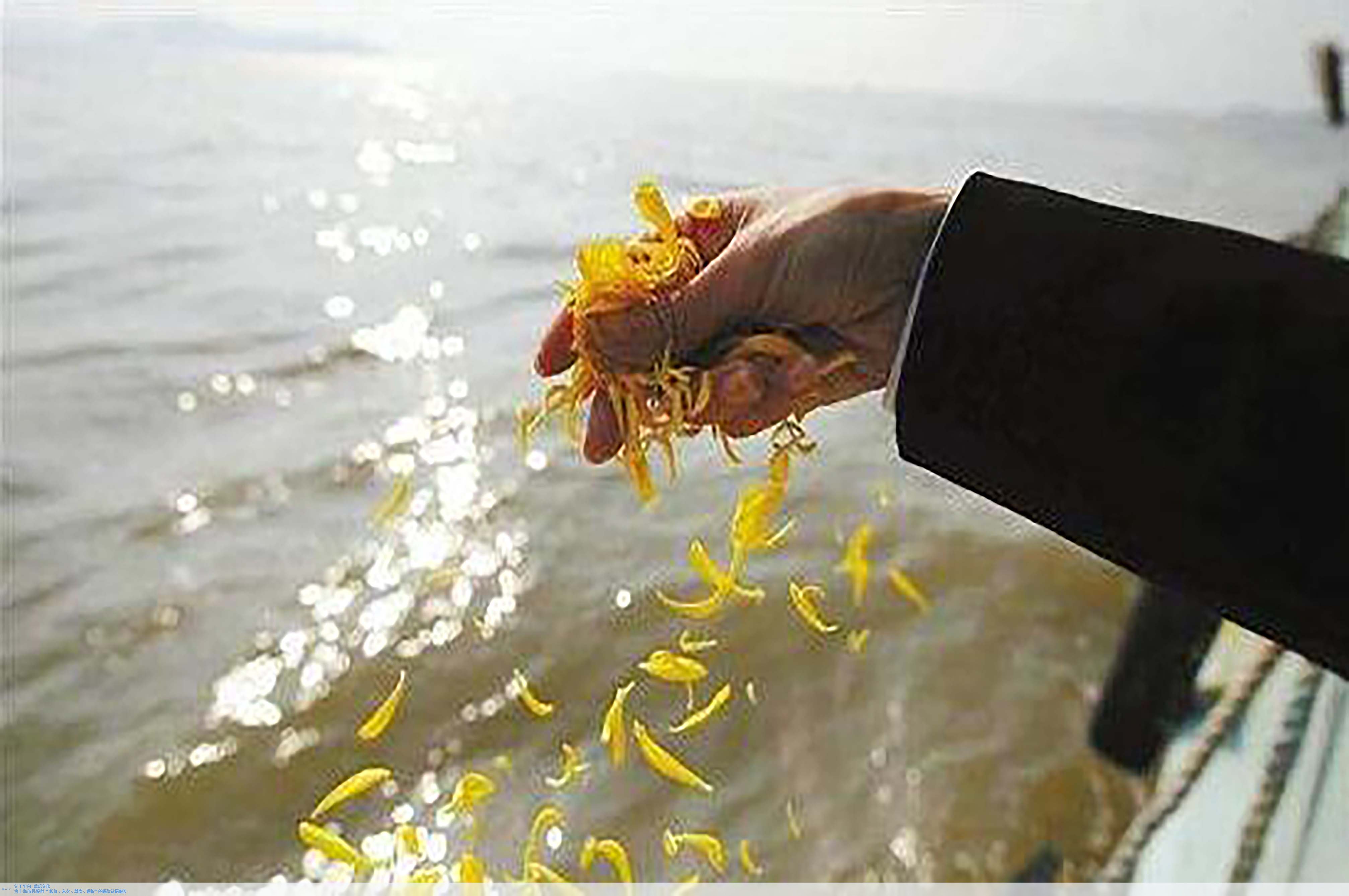 欧博abg(Allbet)官网登录入口